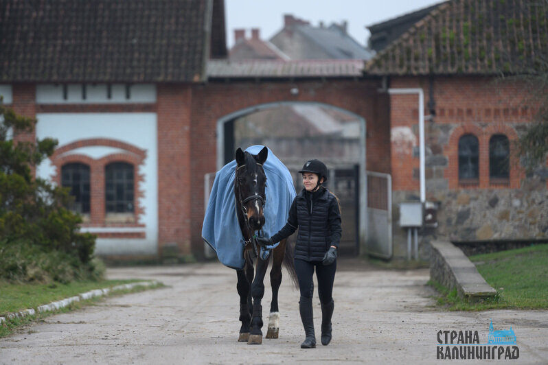 Когда ты предан лошади, она становится преданной тебе  | Фото: Александр Мелехов