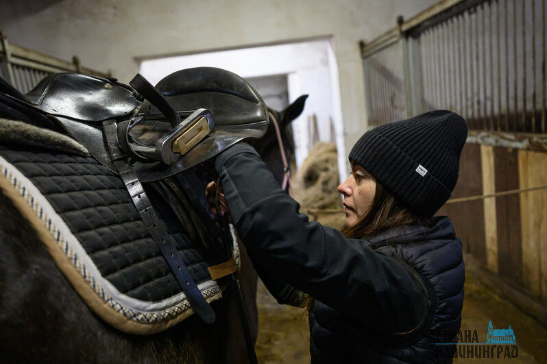 Перед катанием лошадь обязательно нужно почистить и правильно оседлать | Фото: Александр Мелехов