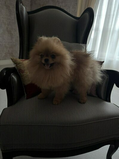 В новом доме. | Фото: из архива героини публикации