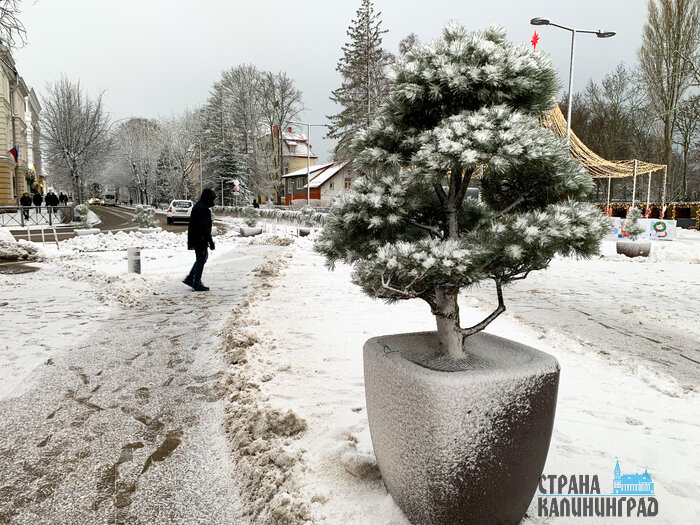 Во власти шторма: Зеленоградск замело снегом (фото)