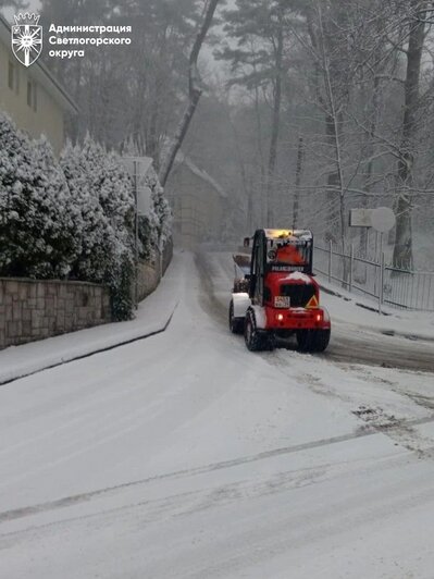 В Светлогорске шторм повалил около десятка деревьев, горожан и туристов просят гулять осторожно  - Новости Калининграда | Фото: администрация Светлогорского городского округа 