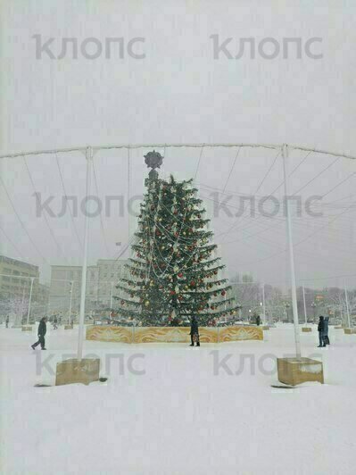 В мэрии Калининграда прокомментировали ситуацию с падением части ёлки на площади Победы - Новости Калининграда | Фото: Юрате Пилюте