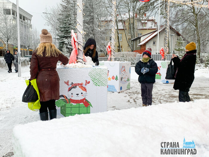 Во власти шторма: Зеленоградск замело снегом (фото)