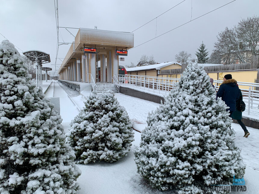 Во власти шторма: Зеленоградск замело снегом (фото)