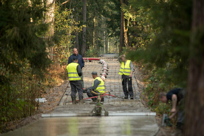 Велодоржка на Куршской косе. | Фото: Александр Мелехов