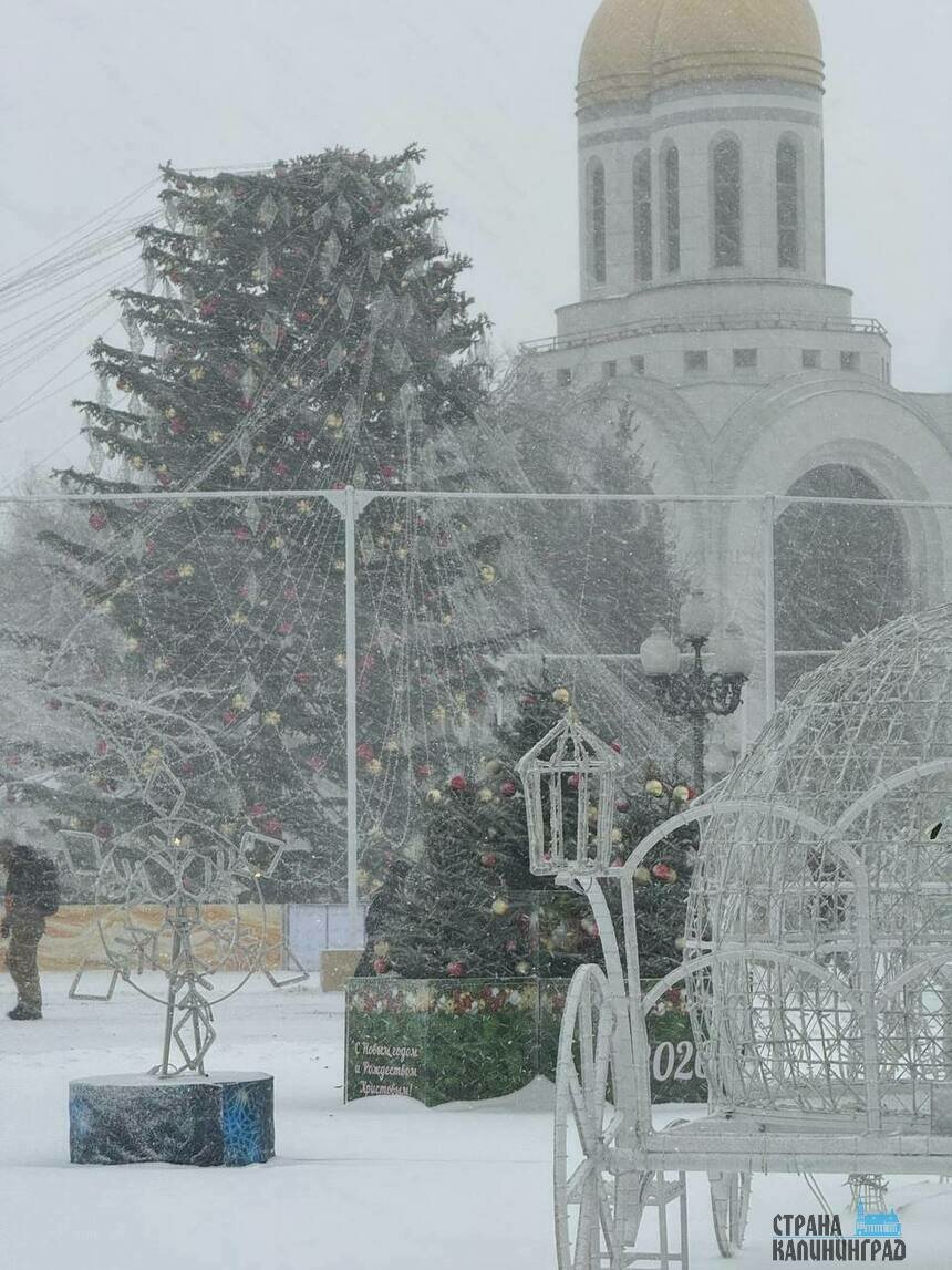 Сильный порыв ветра опрокинул верхушку новой ёлки на площади Победы в Калининграде | Фото: Софья Шарипова