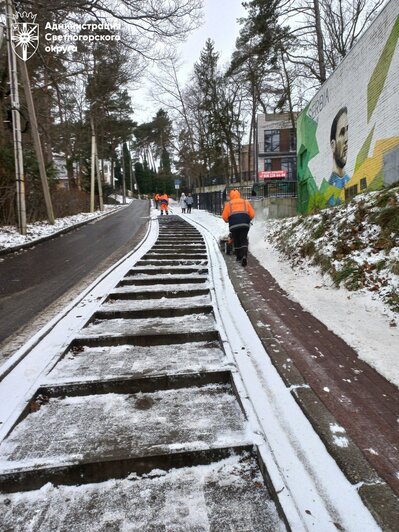 В Светлогорске шторм повалил около десятка деревьев, горожан и туристов просят гулять осторожно  - Новости Калининграда | Фото: администрация Светлогорского городского округа 