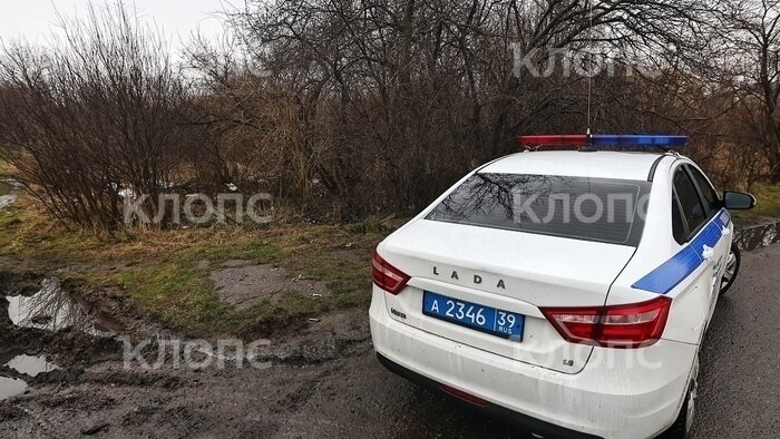 Место на окраине Черняховска, где отчим спрятал тело ребёнка | Фото: Александр Подгорчук / «Клопс»