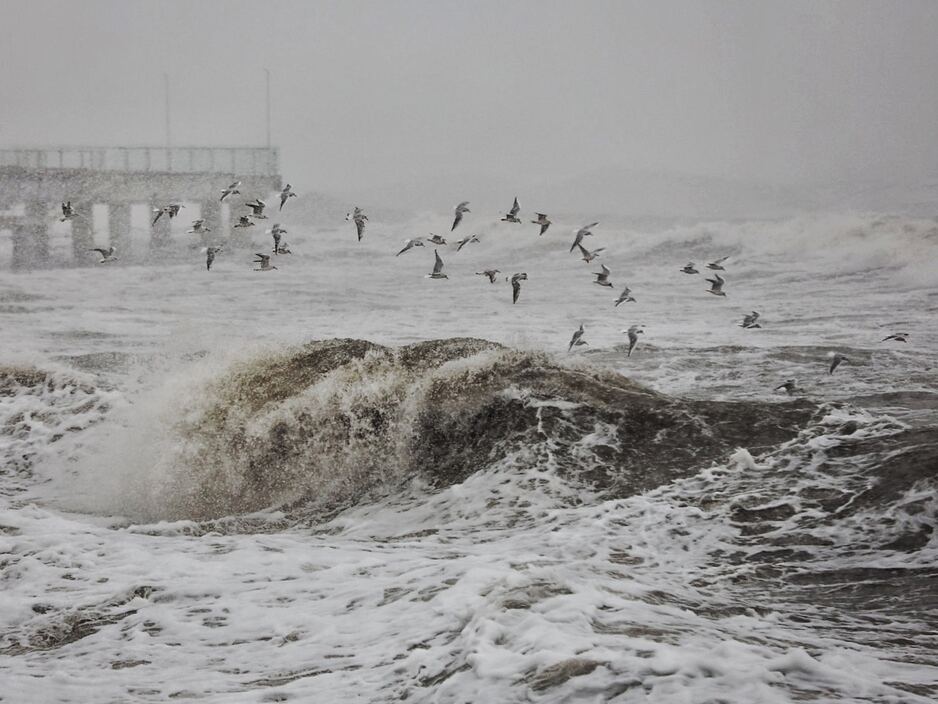 Фото дня: предновогодний шторм и бушующее море в Зеленоградске 