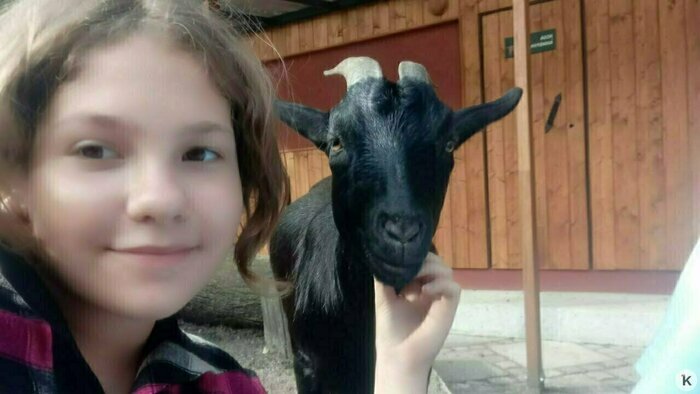 Завершаем год с настоящим чудом: читатели «Клопс» помогли семерым тяжелобольным детям    - Новости Калининграда | Фото: Анна Фомина