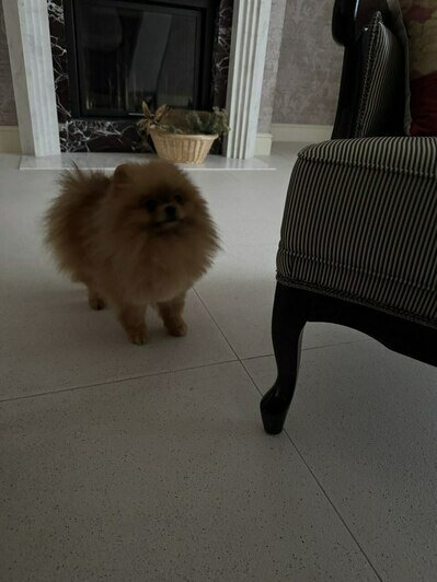 В новом доме. | Фото: из архива героини публикации