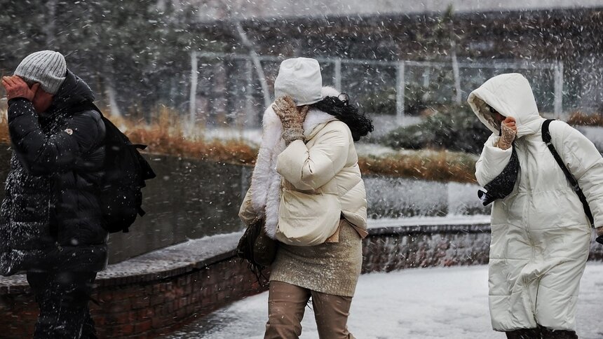 «Ночью временами снег, местами сильный, местами метель»: в МЧС предупредили калининградцев об обильных осадках - Новости Калининграда | Фото: Александр Подгорчук / «Клопс»