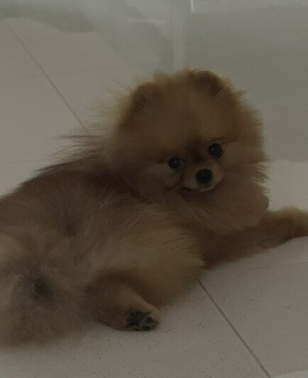 В новом доме. | Фото: из архива героини публикации