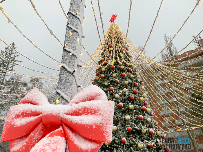 Во власти шторма: Зеленоградск замело снегом (фото)