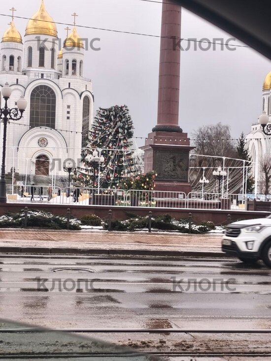 Новая ёлка на площади Победы не выдержала предпраздничного шторма и лишилась верхушки (видео)  - Новости Калининграда | Фото: очевидец 