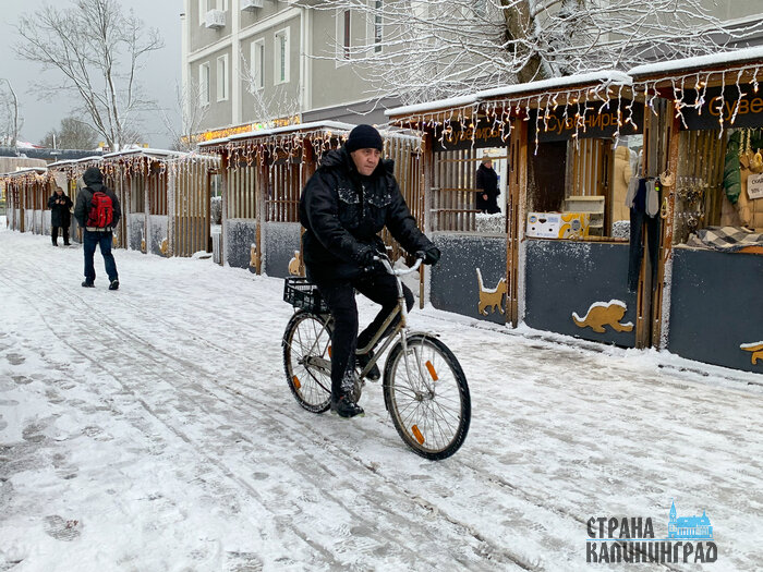 Во власти шторма: Зеленоградск замело снегом (фото)