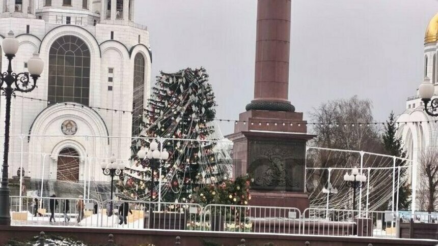 Дятлова дала сутки на то, чтобы зелёный «шакотис» на пл. Победы снова стал «конфеткой-ёлочкой» - Новости Калининграда | Фото очевидцев