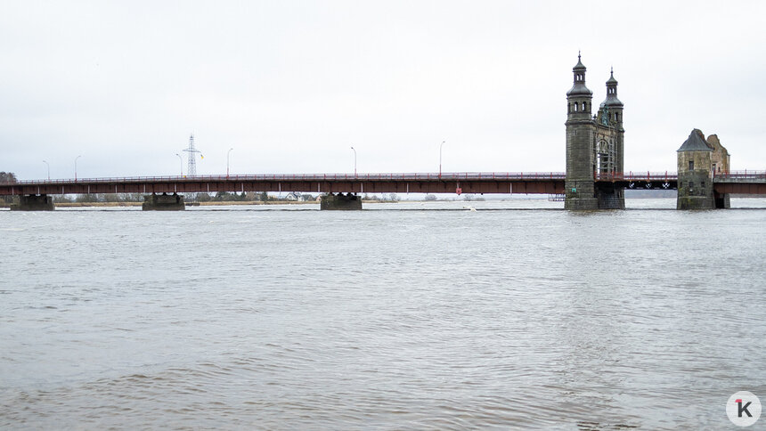 Экс-глава МИД Литвы: блокада Калининграда — прямой риск войны   - Новости Калининграда | Фото: Александр Подгорчук / Архив «Клопс»