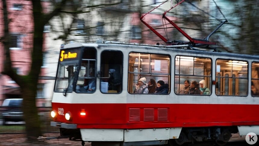 В Калининграде заблокировано движение трамваев №3 и 5 - Новости Калининграда | Фото: Александр Подгорчук / «Клопс»