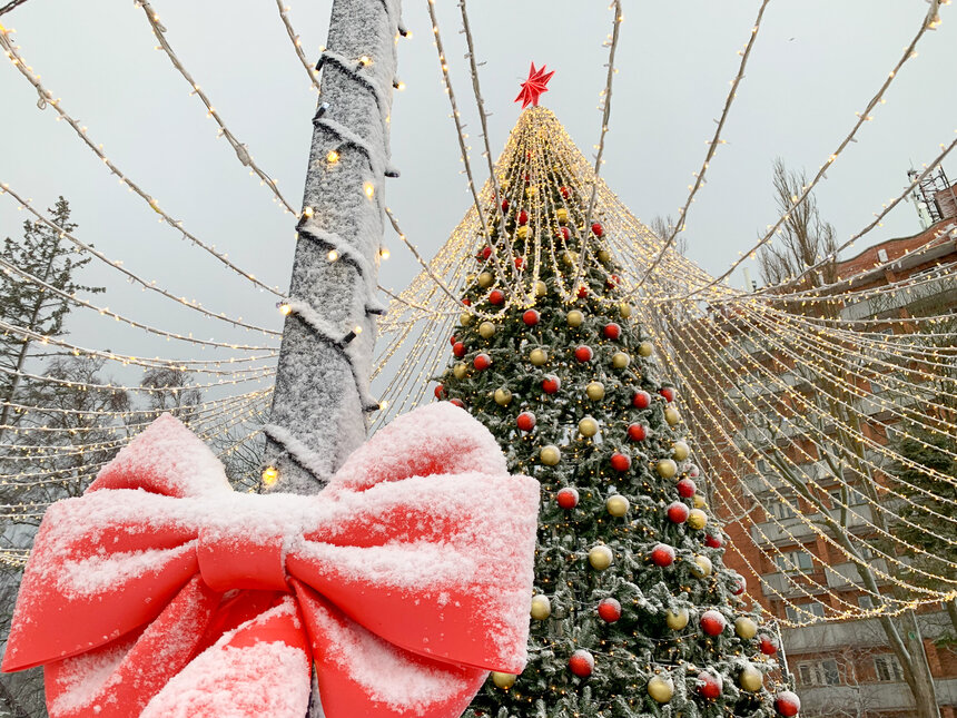 Зеленоградск снежный | Фото: Александр Мелехов