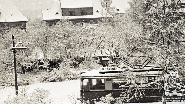 В госархиве показали, как выглядел заснеженный Калининград в 1970-е годы