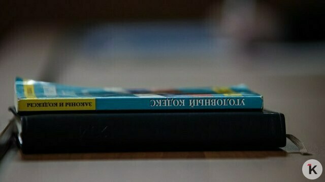 В России зафиксирован рекордный ущерб от экономических преступлений  