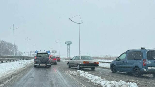 Из-за «Чебурашки 2» — заторы у «Балтия Молл» и полные залы кинотеатров