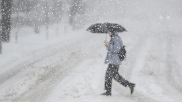 Оттепель закончилась: в Калининград пришли мороз, снег и сильный ветер