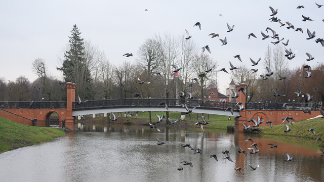 Не «попса», а живое место: столичный краевед назвал топ-7 локаций Калининградской области