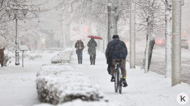 Мороз, метель и снежные заносы: погода в Калининградской области в субботу, 10 января  
