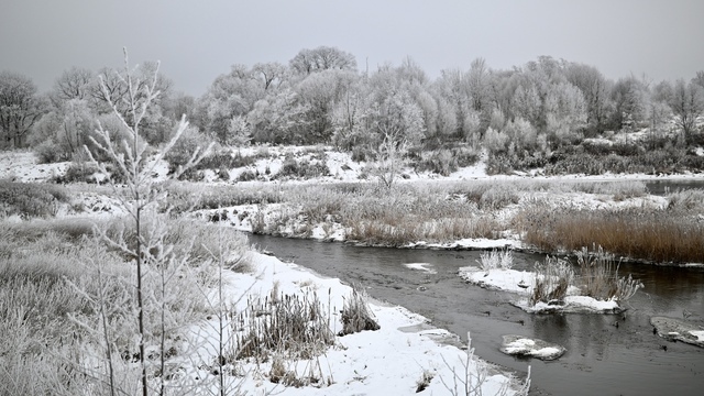 Калининградскую область сковала изморозь: сказочные заснеженные пейзажи