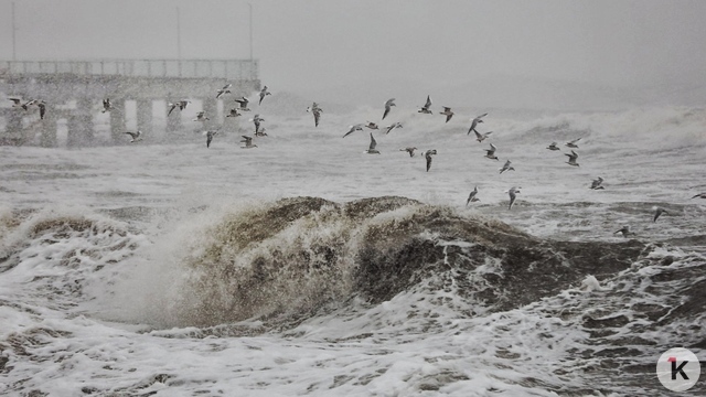 Будет идти снег: погода в Калининграде и области в воскресенье