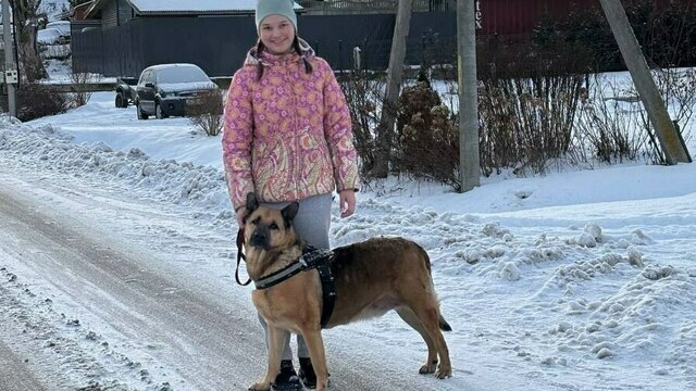 Калининградцы навещали приют для животных: прогулки в снегу и уроки добра
