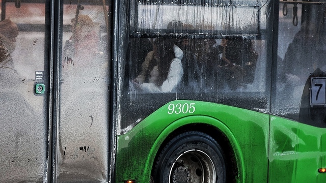 «Просто противно заходить»: в Калининграде новые троллейбусы и автобусы пугают пассажиров (фото)