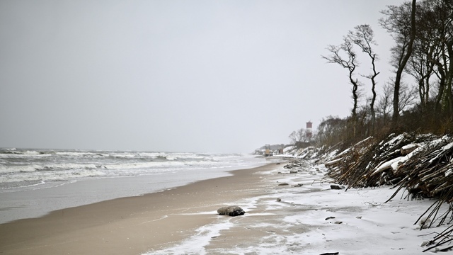 МЧС: с обеда 14 января Калининградскую область ждут усиление ветра и обильный снег 