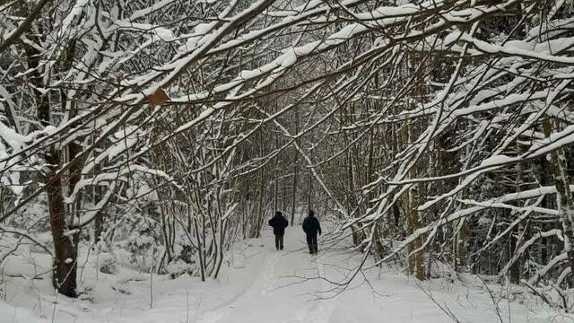 В нацпарке «Виштынецкий» начали штрафовать нарушителей