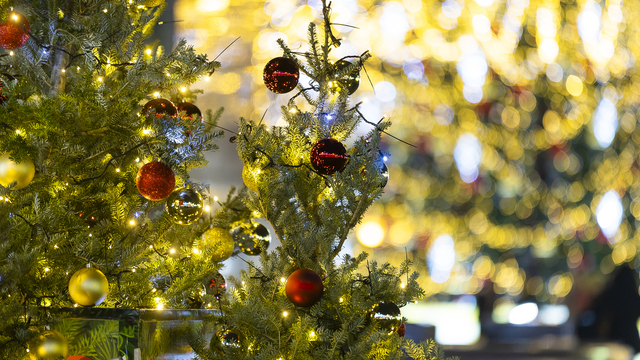 Подружки-школьницы из Калининграда спели на площади хит Вани Дмитриенко и набрали тысячи лайков в соцсетях (видео) 