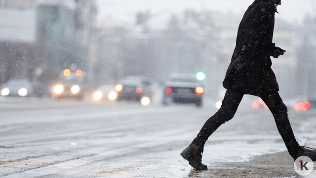В Калининграде пешеход забросал машину снежками за нарушение ПДД на зебре