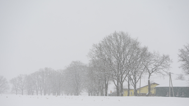 Из-за тумана в Храброво возможны задержки рейсов
