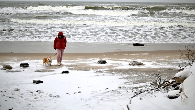 Прогноз на выходные: калининградцев ждут морозы и сухая погода 