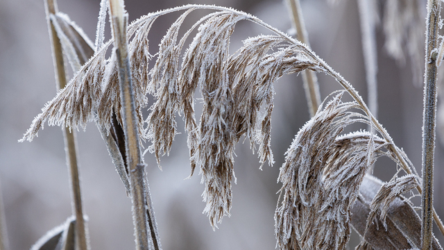Не опустошай кошелёк и повремени с уборкой в доме: приметы на 19 января
