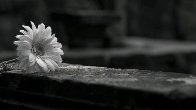 Умер актёр «Разборок в стиле кунг-фу» Брюс Люн