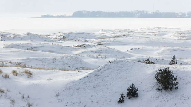 Инициаторы строительства отеля в Рыбачьем рассказали, на какой стадии работа над проектом