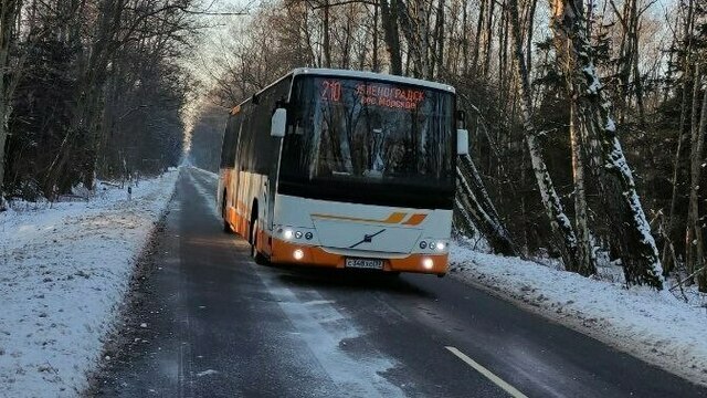 На Куршской косе машины рыбаков не дают автобусам доехать до остановки в Морском (фото)  