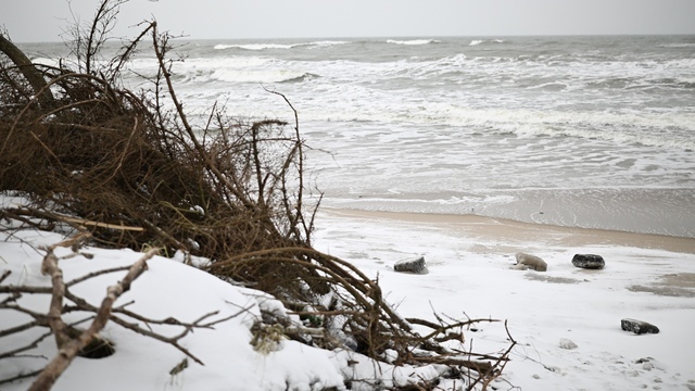 Синоптики обнадёжили: суровые двадцатиградусные морозы в Калининграде отменяются 