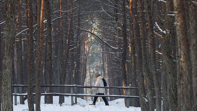 Коса без Калины: как живёт нацпарк, директора которого обвиняют в незаконной вырубке (фото)  