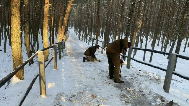 На Куршской косе с 22 января закрывают для посещения несколько экотроп