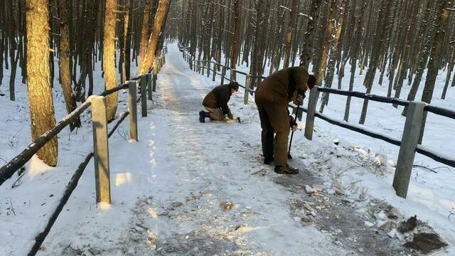 На Куршской косе с 22 января закрывают для посещения несколько экотроп