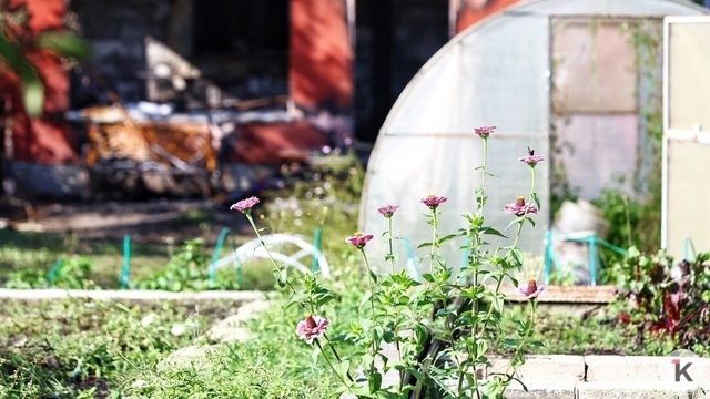 Конфликты уменьшатся, а в генплане Калининграда может быть «сюрприз»: глава Союза садоводов области — о новшествах для СНТ  