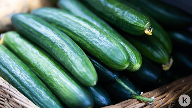 Огурцы и капуста — в кошельке стало пусто: какие продукты больше всего подорожали в Калининграде в декабре 